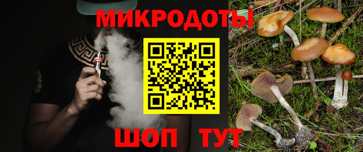 Костомукша  Псилоцибиновые грибы Magic Shrooms  Вход с VPN 